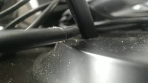 Snapshot of stewpididiot chatting on 09-11-25, 04:51 Stew Pididiot online show from 09-11-25, 04:51