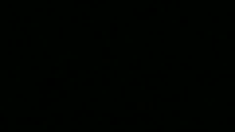 Snapshot of stiffjason1993 chatting on 12-19-25, 10:17 stiffjason1993 online show from 12-19-25, 10:17