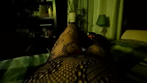 Snapshot of stockinggeek chatting on 12-05-25, 07:06 StockingGeek online show from 12-05-25, 07:06