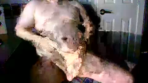 StockynCuddly online show from 10-16-25, 11:06