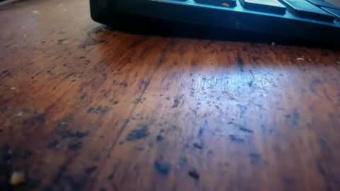 Stoner Dad online show from 04-28-26, 06:46