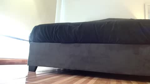 storm_hanks online show from 11-29-25, 12:24