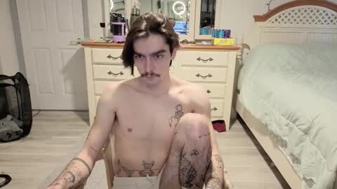 Snapshot of str8whiteboy21 chatting on 02-17-26, 08:04 str8whiteboy21 online show from 02-17-26, 08:04