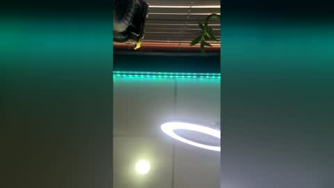 strong_rock69 online show from 03-28-26, 10:42