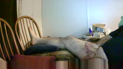 Snapshot of stugots42 chatting on 01-14-25, 03:11 stugots42 online show from 01-14-25, 03:11