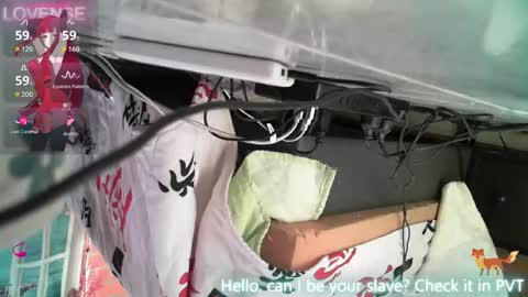 Snapshot of submissive_gh1 chatting on 02-11-26, 11:21 sofhia online show from 02-11-26, 11:21