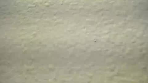 subswitchuser online show from 10-03-25, 01:52