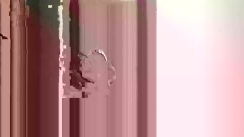 Snapshot of suckmeoffuk chatting on 12-17-25, 02:56 JJ online show from 12-17-25, 02:56