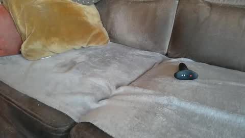 Snapshot of suessli chatting on 10-22-25, 07:08 Suessli online show from 10-22-25, 07:08