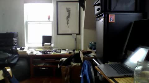 Sugar online show from 04-14-26, 02:01