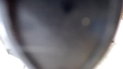 Snapshot of sugarplumy chatting on 07-10-26, 03:44 KUROME online show from 07-10-26, 03:44