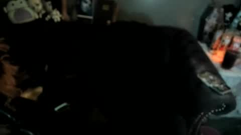 Snapshot of sugary_sweet chatting on 01-19-26, 11:25 Sugary online show from 01-19-26, 11:25