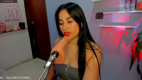 Snapshot of sulmatevans_ chatting on 06-04-26, 07:36 Diana online show from 06-04-26, 07:36