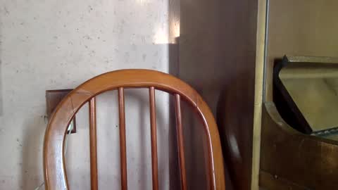 Snapshot of sumjang chatting on 02-16-25, 08:33 Sumjang and Luksmen online show from 02-16-25, 08:33