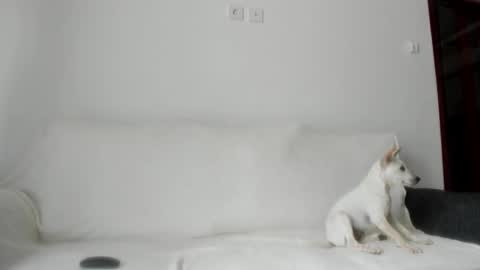 Angel PVT show open online show from 10-21-25, 02:34