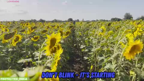 Snapshot of sunflower0907 chatting on 10-30-25, 10:06 Tina. Im topless model online show from 10-30-25, 10:06