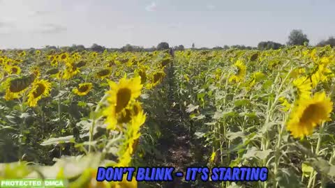 Snapshot of sunflower0907 chatting on 02-05-26, 09:03 Tina. Im topless model online show from 02-05-26, 09:03