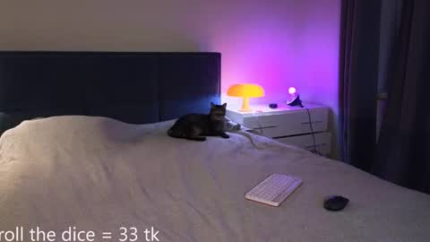 Amy online show from 05-02-26, 06:13
