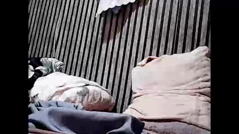 Snapshot of superclit4u chatting on 11-11-25, 08:03 superclit4u online show from 11-11-25, 08:03