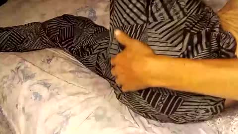 Snapshot of superdavedetailzz2025 chatting on 09-19-25, 06:37 superdavedetailzz2025 online show from 09-19-25, 06:37