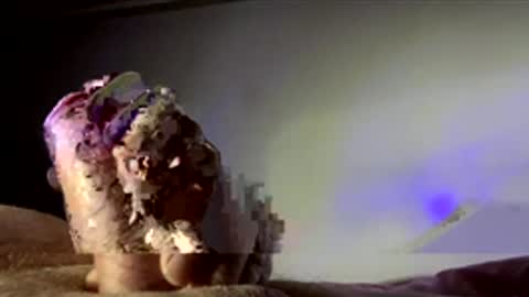 surgenz73 online show from 01-16-26, 02:37