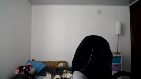 Susana online show from 07-04-26, 03:18