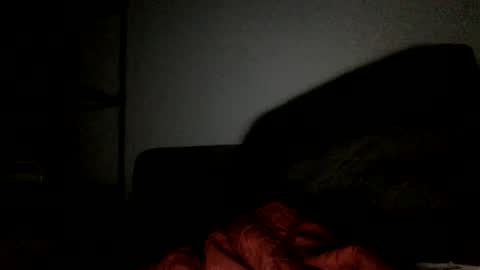 Snapshot of sweet_nutts chatting on 01-20-25, 07:47 sweet_nutts online show from 01-20-25, 07:47