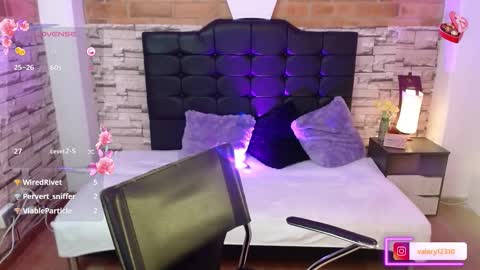 Snapshot of sweet_valery21 chatting on 02-21-25, 08:38 valery online show from 02-21-25, 08:38
