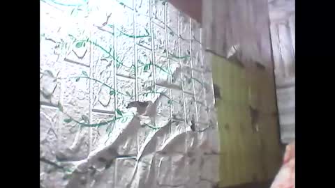 Snapshot of sweetava08 chatting on 05-19-26, 12:27 sweetava08 online show from 05-19-26, 12:27