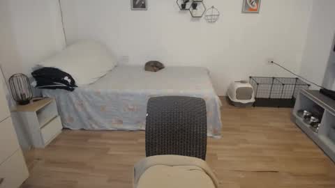 angel 3 online show from 12-05-24, 08:44