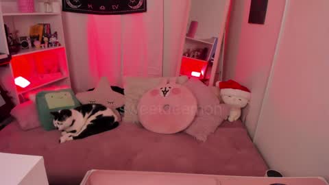 Vernica Help me to reach 80 likes thank you online show from 12-25-24, 03:50