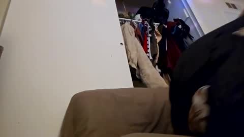 sweetp3ach29 online show from 12-16-24, 06:53