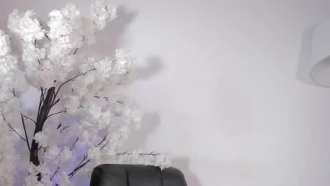 Snapshot of sweetsalice__ chatting on 12-14-25, 11:42 Alice Woolridge online show from 12-14-25, 11:42