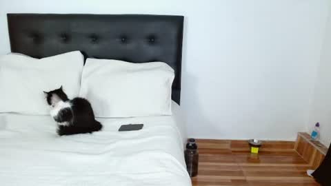 Snapshot of sweetyiris chatting on 07-05-26, 06:42 iris online show from 07-05-26, 06:42