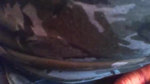 swils67 online show from 04-20-26, 05:05