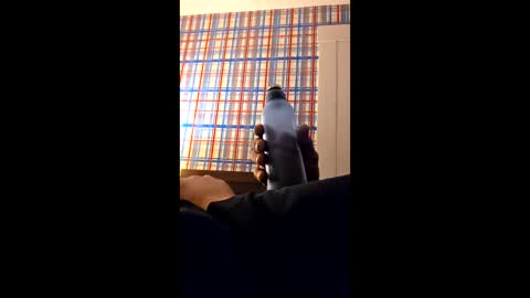 Snapshot of swinginghammer1987 chatting on 03-30-26, 08:04 swinginghammer1987 online show from 03-30-26, 08:04