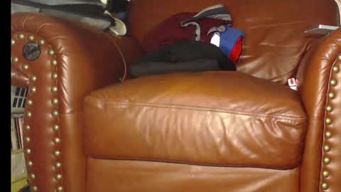 Snapshot of swolebbc chatting on 12-11-24, 05:37 The DickGod online show from 12-11-24, 05:37