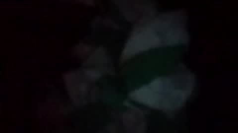 swollpole2112 online show from 05-16-26, 06:54