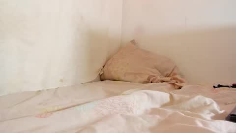 Greg online show from 09-26-25, 03:49