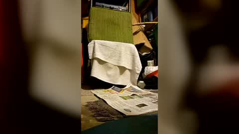 syevecrl online show from 07-02-26, 07:47