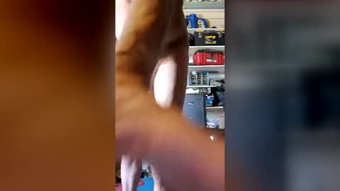 syevecrl online show from 08-02-26, 03:43