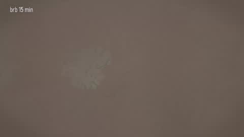 TAANNI online show from 03-20-26, 12:32