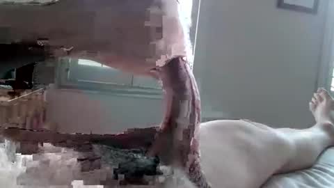 Snapshot of tactful1 chatting on 04-03-26, 05:11 Tactful1 online show from 04-03-26, 05:11