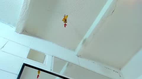 Tafari Zulu online show from 03-02-26, 05:08