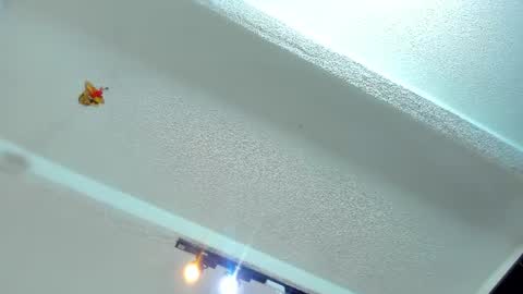 Snapshot of tafari_1 chatting on 06-25-26, 01:37 Tafari Zulu online show from 06-25-26, 01:37