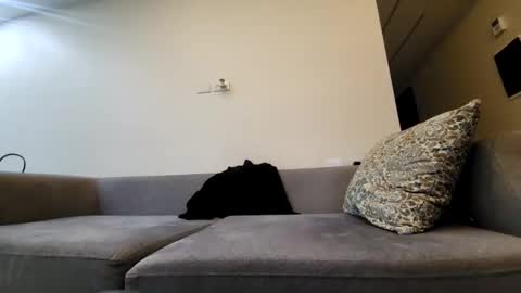 Tala online show from 02-25-25, 11:55