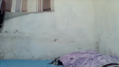 Snapshot of taliah254 chatting on 12-17-25, 12:33 taliah254 online show from 12-17-25, 12:33