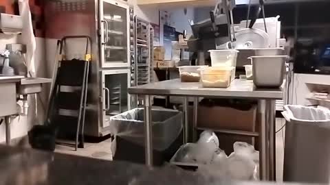 Snapshot of talldrink62 chatting on 09-10-25, 02:44 The Man of Steel online show from 09-10-25, 02:44