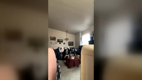 tallhandsomehung69 online show from 07-29-26, 10:52