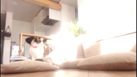 Tamara online show from 09-14-25, 09:58